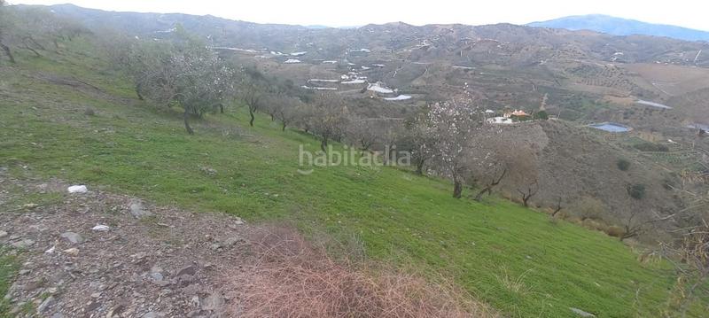 Foto 8f2360f2-0b46-4431-873c-e487f0ef1bdb. Wohngrundstück in Benajarafe