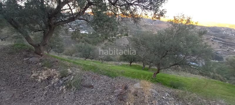 Foto b9133a15-9f14-4d4d-a415-eb633dc4fe40. Wohngrundstück in Benajarafe