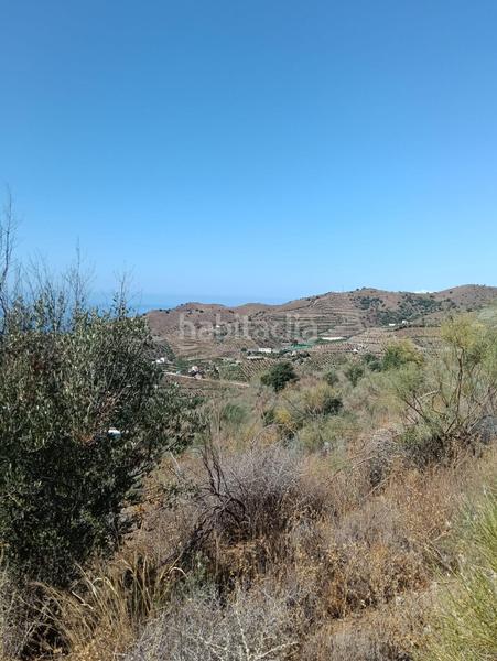 Foto bf8fa4d0-91a0-4cad-ba6e-3ee4a3814eb0. Wohngrundstück in Benajarafe