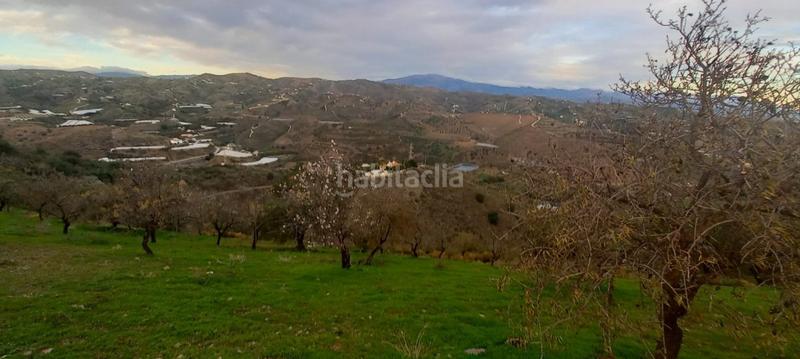 Foto c4490246-668c-42b9-91ee-b14e0ca757eb. Wohngrundstück in Benajarafe