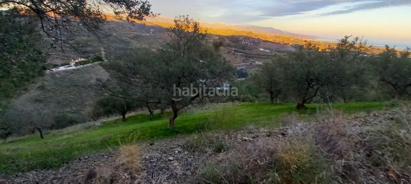 Foto cb0c261f-bbe9-4c12-9599-f5beeb3e3783. Wohngrundstück in Benajarafe