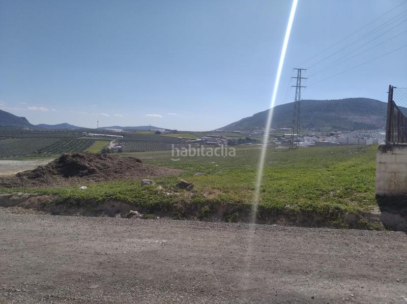 Foto 572207a5-b112-482f-8db1-17ce39cf831e. Residential plot in Estepa