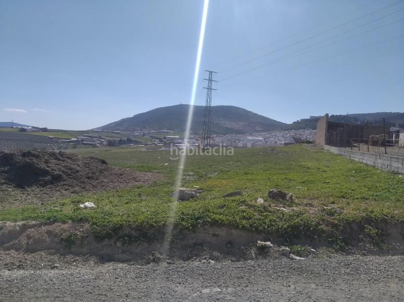 Foto 8bd1f14f-e377-4246-8ecb-7e62f6cca7ad. Residential plot in Estepa