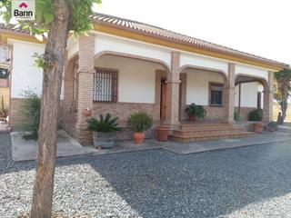 Masia a Alcolea. Casa zona alcolea