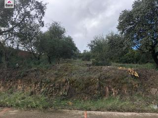 Terreno residencial en El Brillante -El Naranjo - El Tablero. Bonita parcela urbanizada el la zona del brillante
