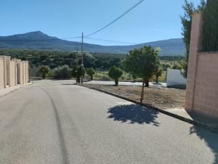 Terrain résidentiel à Lora de Estepa. Venta de solar en lora de estepa