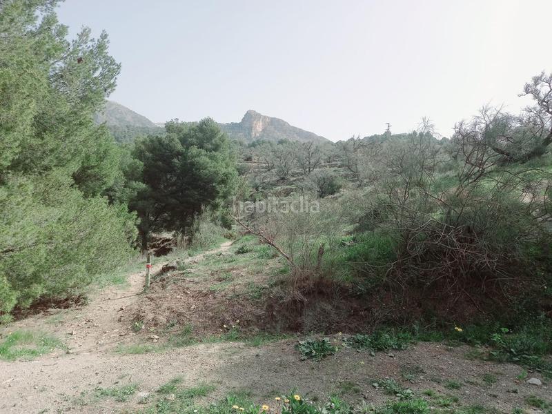 Foto 05fb3fde-575e-46cc-8663-d29a5453789b. Finca rústica terreno rustico en venta ! en Canillas de Aceituno
