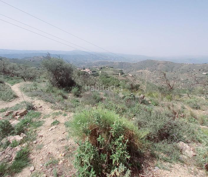 Foto 1e521739-286a-4deb-a7eb-5995e23f3a11. Finca rústica terreno rustico en venta ! en Canillas de Aceituno