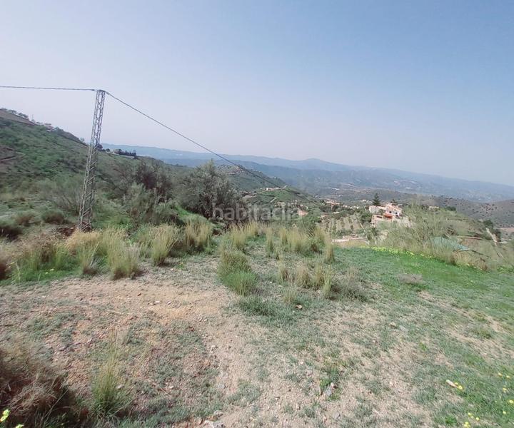 Foto 2de4d8bd-1b80-4f4b-a14e-54ad01050f1a. Finca rústica terreno rustico en venta ! en Canillas de Aceituno