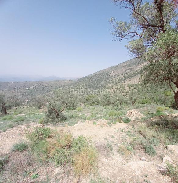 Foto 3efe8d01-f5f7-4c6f-ac84-c3c2d8f15914. Finca rústica terreno rustico en venta ! en Canillas de Aceituno