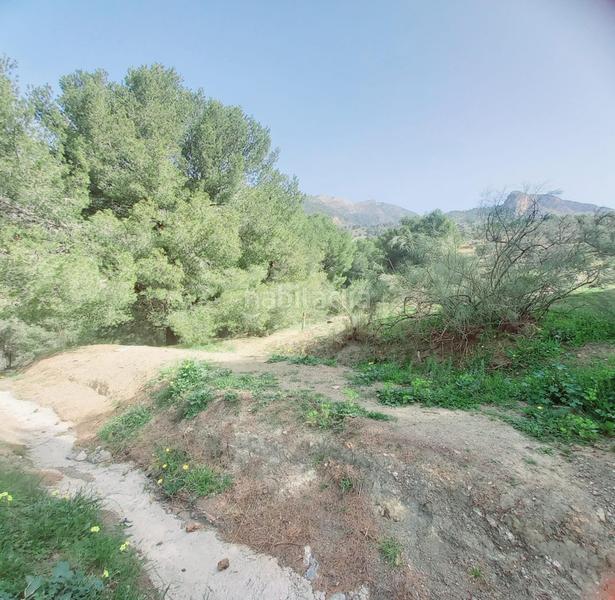 Foto 3f5fcab2-e33a-4a09-b855-d88e86ab5ea5. Finca rústica terreno rustico en venta ! en Canillas de Aceituno