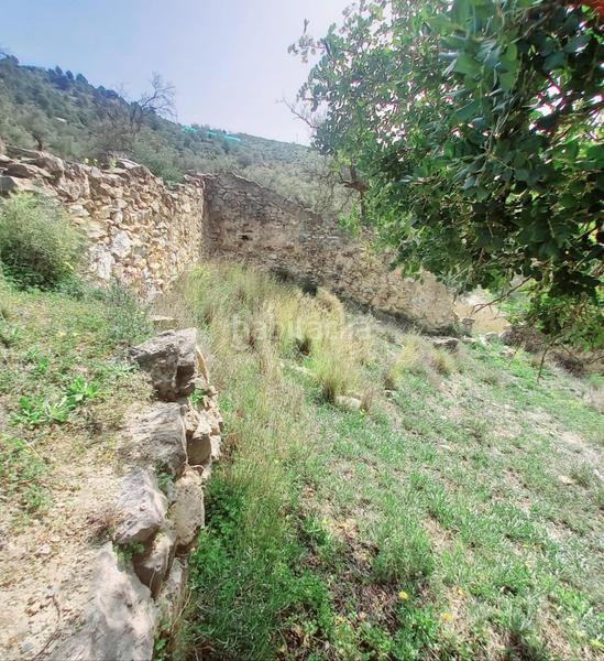 Foto 540f37af-ffe7-4a4b-aaa0-00bfbaab84dd. Finca rústica terreno rustico en venta ! en Canillas de Aceituno