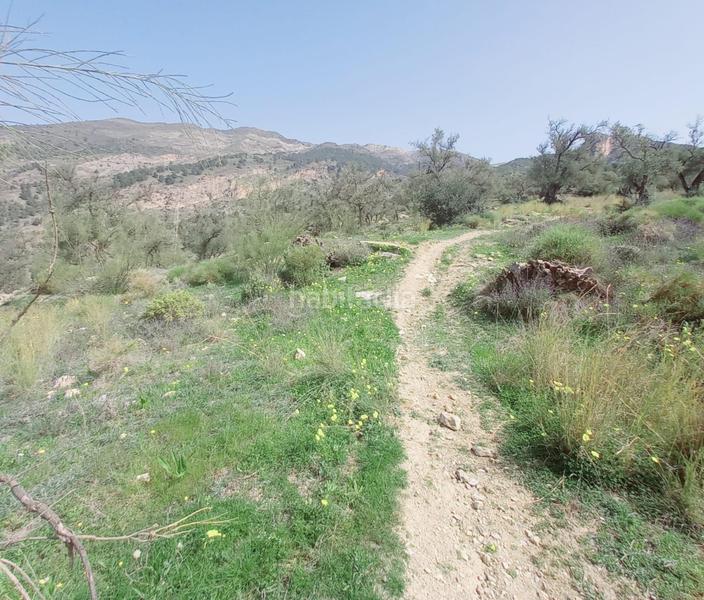 Foto 5b3a2b64-ea7c-4371-a610-10eb03ccd952. Finca rústica terreno rustico en venta ! en Canillas de Aceituno