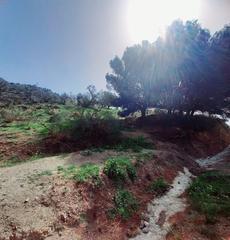 Finca rústica a Canillas de Aceituno. Terreno rustico en venta en canillas de aceituno!