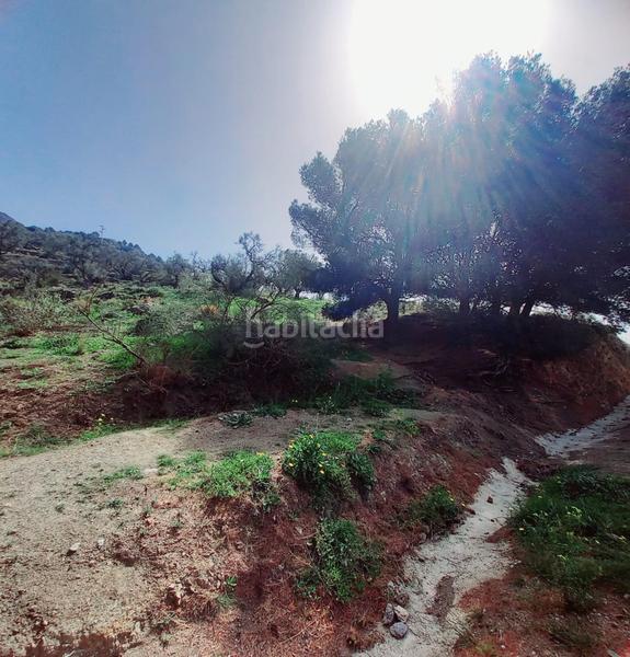 Foto 635a8523-bdbe-487f-85ca-582fab9f0c73. Finca rústica terreno rustico en venta ! en Canillas de Aceituno