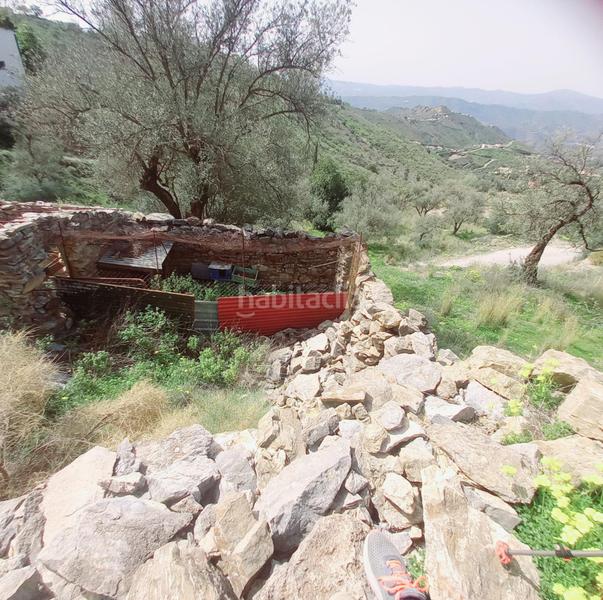 Foto 6c1f8a90-023c-40e8-9230-ce14e3543322. Finca rústica terreno rustico en venta ! en Canillas de Aceituno