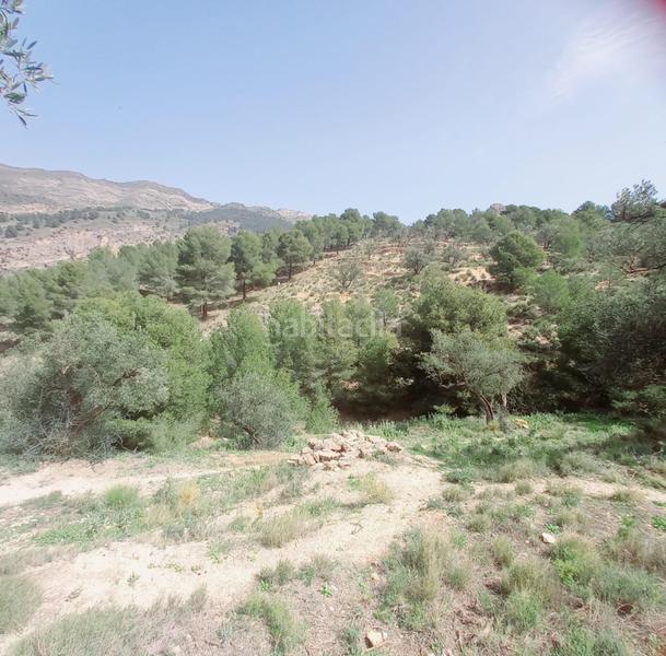 Foto 7a78a814-b5b8-44e9-a299-8d1645ecba54. Finca rústica terreno rustico en venta ! en Canillas de Aceituno