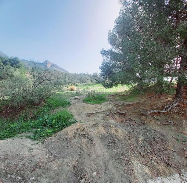 Foto 8d00bcdd-5474-4e4d-8e67-56b1a66330b5. Finca rústica terreno rustico en venta ! en Canillas de Aceituno
