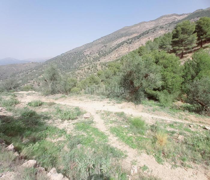 Foto 9088142f-bea8-4519-83eb-3eed49b4c1e7. Finca rústica terreno rustico en venta ! en Canillas de Aceituno