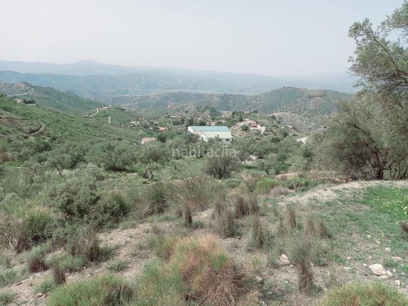 Foto d11262ff-d1b7-4c0d-be20-734331af7abc. Finca rústica terreno rustico en venta ! en Canillas de Aceituno