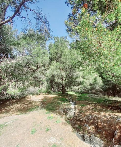 Foto d7b4639b-4970-4f8b-aa4a-bc5075fac8c6. Finca rústica terreno rustico en venta ! en Canillas de Aceituno