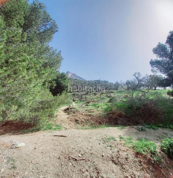 Foto d7ba6332-1e6b-4ed3-8528-a69d76066995. Finca rústica terreno rustico en venta ! en Canillas de Aceituno