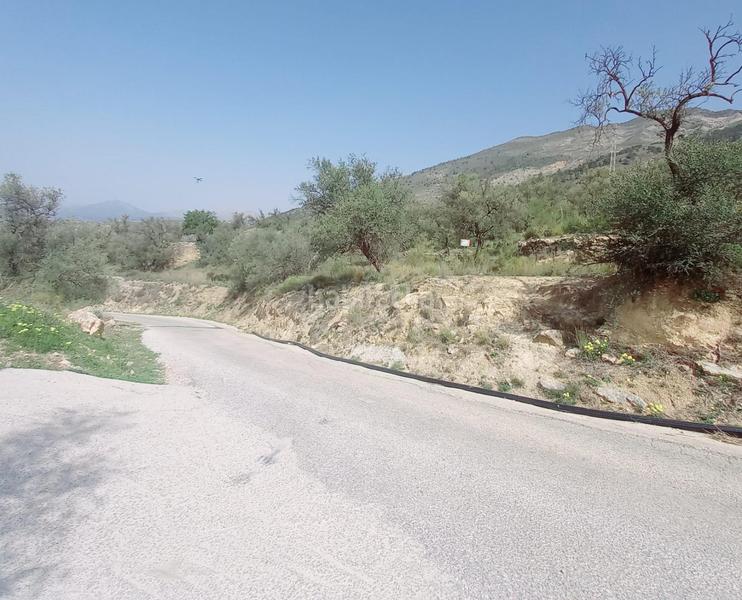 Foto f2122dd8-bab3-4ae5-8a15-623335f3a851. Finca rústica terreno rustico en venta ! en Canillas de Aceituno