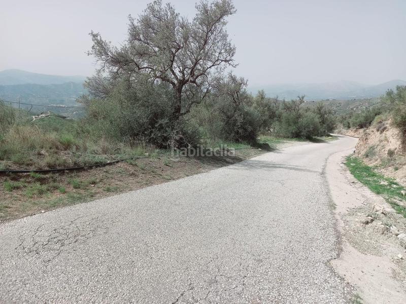 Foto ff0a6913-4dde-4f99-aed6-5b7fe54db843. Finca rústica terreno rustico en venta ! en Canillas de Aceituno