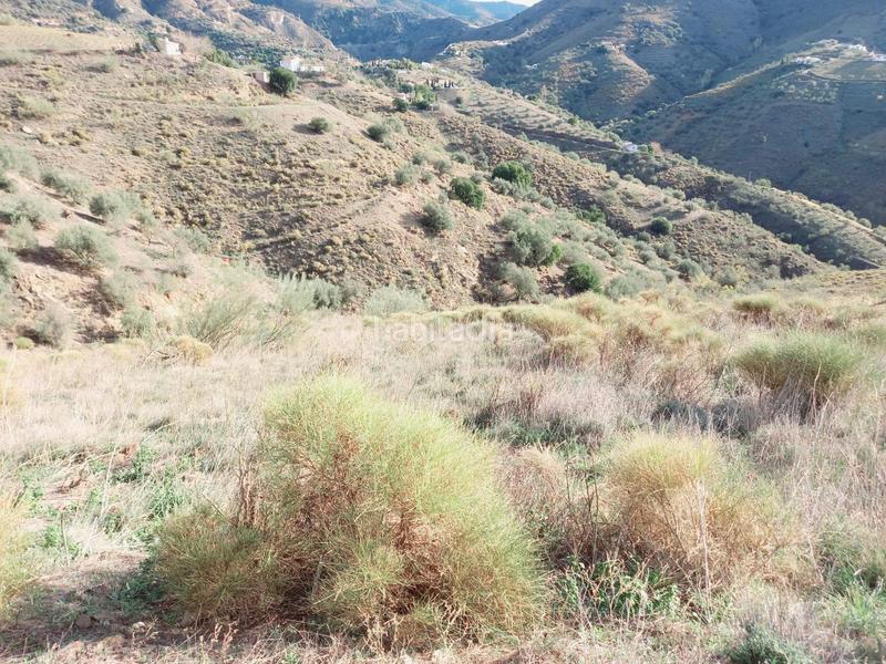 Foto 0065b8e2-a484-4910-8549-bcba1fa84890. Casa parcela con casita en venta en Canillas de Aceituno