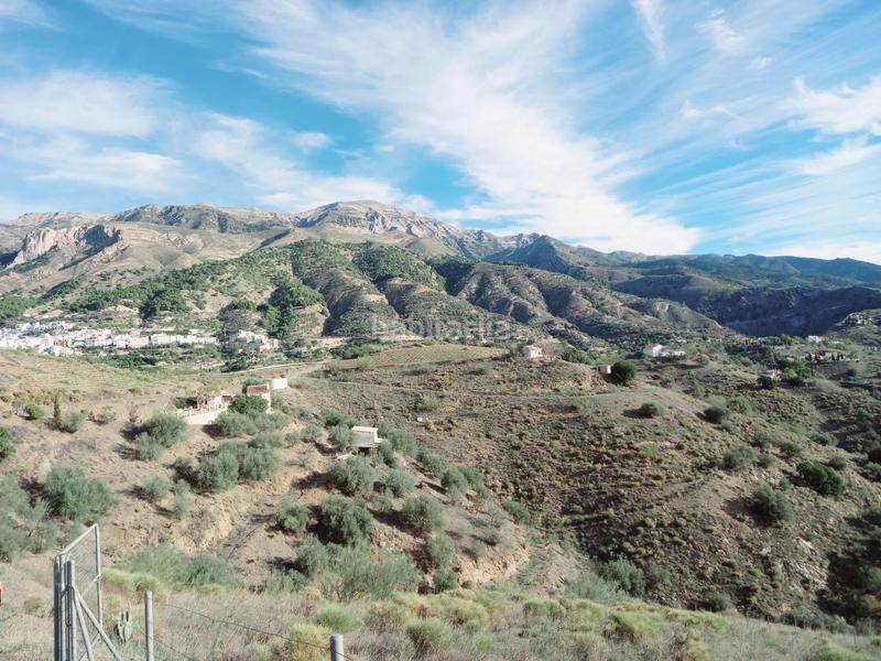 Foto 1b71c20c-a160-40fe-a980-eb7368a81fd7. Casa parcela con casita en venta en Canillas de Aceituno