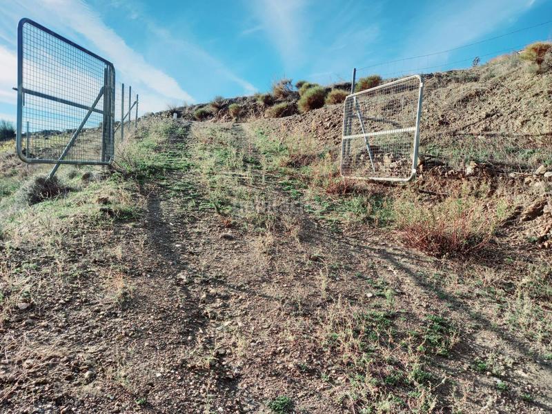 Foto 1dffad70-653a-4dbe-aab4-1bc6d945ef2c. Casa parcela con casita en venta en Canillas de Aceituno