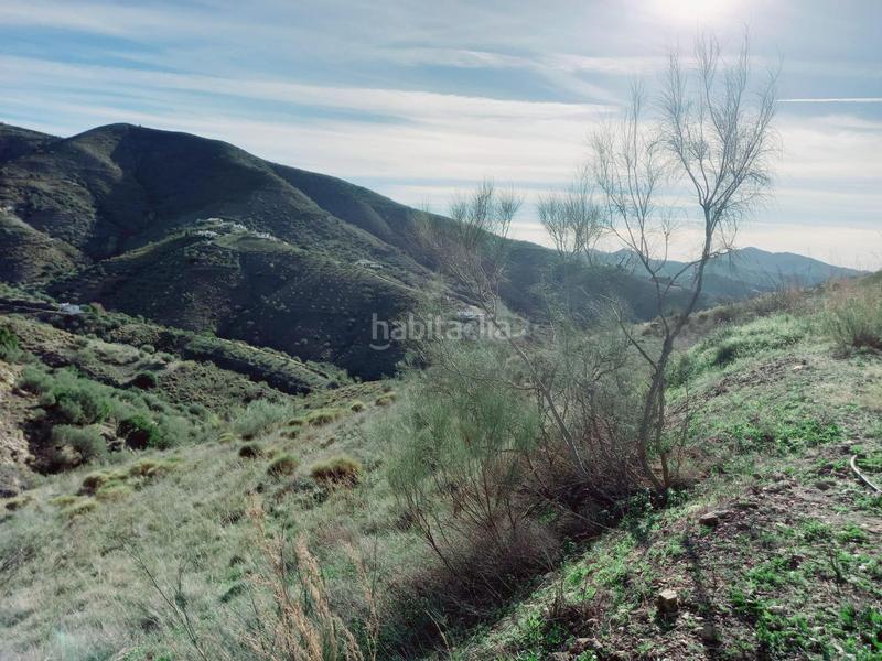 Foto 274a2432-b9b8-44f0-9119-f0e7a4debb0d. Casa parcela con casita en venta en Canillas de Aceituno