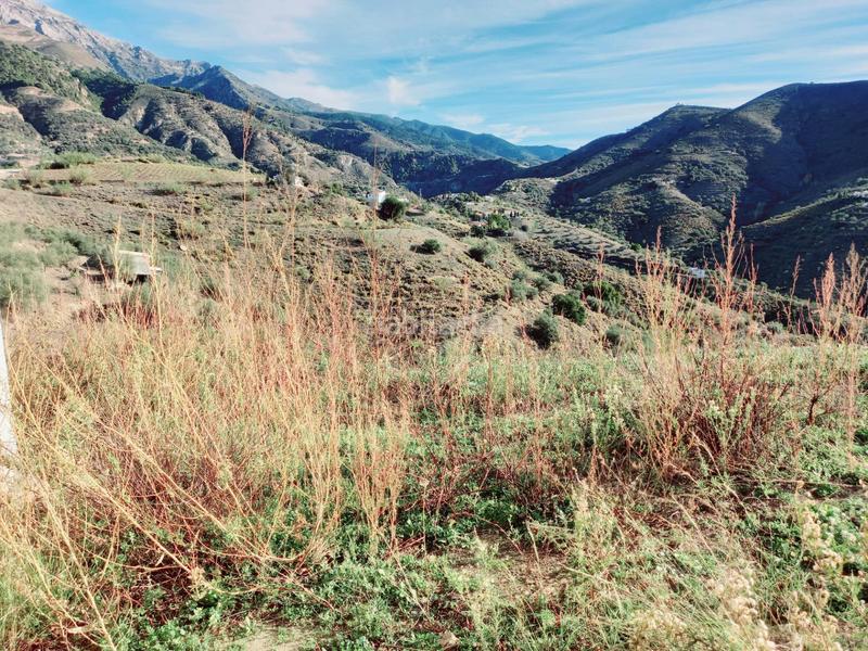 Foto 2f104cec-a90b-47fd-aab7-ad55331efdcc. Casa parcela con casita en venta en Canillas de Aceituno