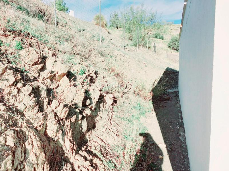 Foto 31e99326-bc7e-4d9f-a4dd-3062bafdee97. Casa parcela con casita en venta en Canillas de Aceituno