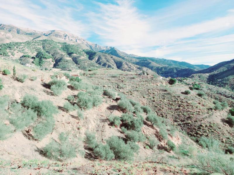 Foto 58c73e1b-99b7-4291-b322-d0d2ee240c64. Casa parcela con casita en venta en Canillas de Aceituno