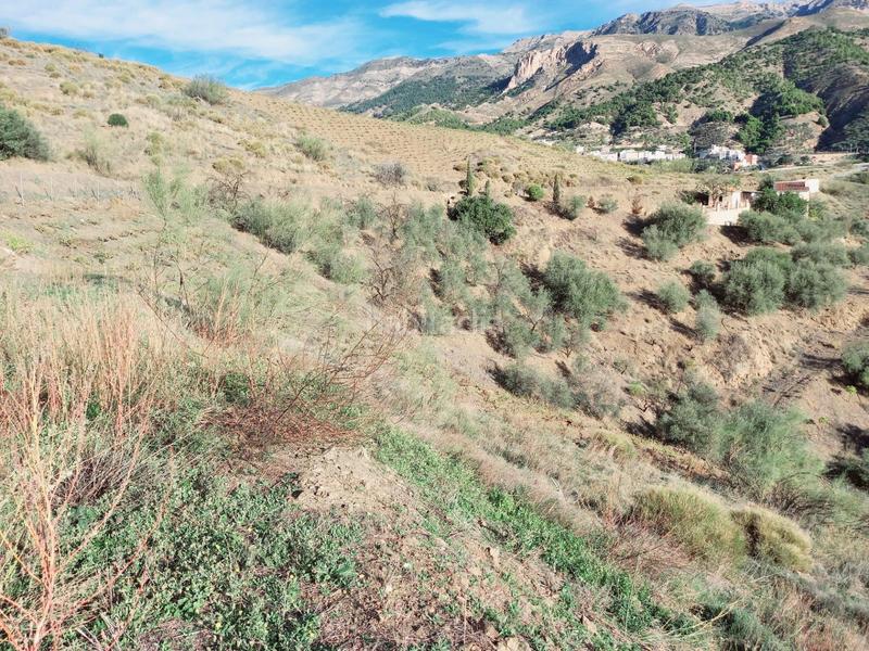 Foto 692a3412-fe4b-4e1d-a717-2089b3231ad8. Casa parcela con casita en venta en Canillas de Aceituno