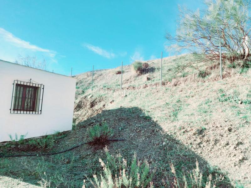 Foto 83ef9a48-3d60-412b-a996-deea31be108a. Casa parcela con casita en venta en Canillas de Aceituno