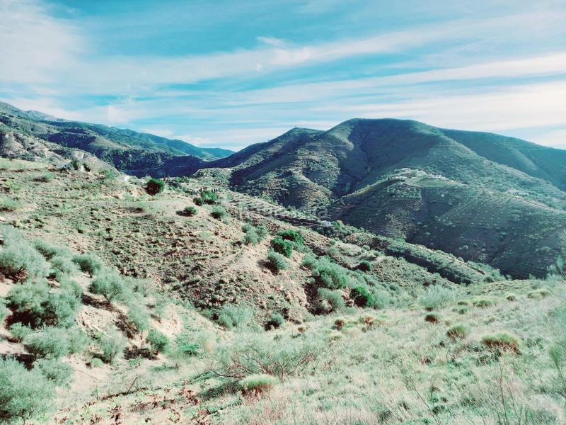 Foto 941e9720-720d-4059-9b39-cd36cdaf525f. Casa parcela con casita en venta en Canillas de Aceituno