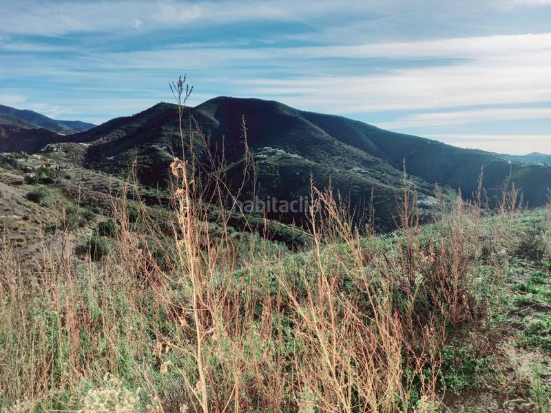 Foto afc3e168-e4b8-4d8b-942a-aabc037d5721. Casa parcela con casita en venta en Canillas de Aceituno