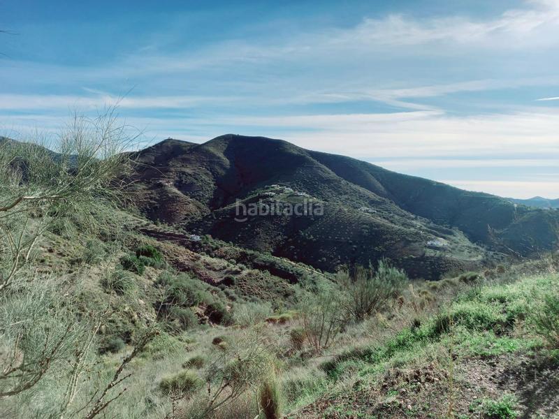 Foto bae3c19d-1da6-4c52-bcdf-43fccdb357db. Casa parcela con casita en venta en Canillas de Aceituno