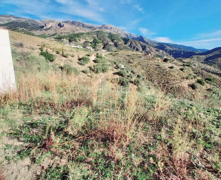 Foto bdd44188-99f8-46a3-bf2d-690a7f3ef465. Casa parcela con casita en venta en Canillas de Aceituno