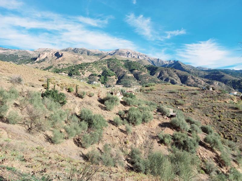 Foto c5fe76dd-0b65-44be-87dd-609f57ccda96. Casa parcela con casita en venta en Canillas de Aceituno