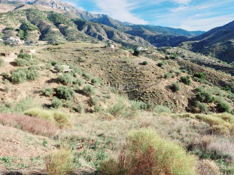 Foto e7c9db8a-9ee9-45d0-9a9a-e5540af6825a. Casa parcela con casita en venta en Canillas de Aceituno