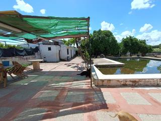 Masia a Alcolea. Parcela rustica  con casa en las quemadas