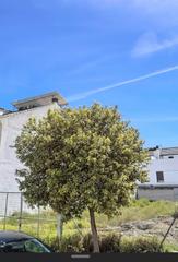 Terreno residencial en Arroyo del Moro - Noreña