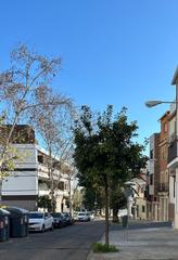 Terreno residencial en El Brillante -El Naranjo - El Tablero. Casasolar en barrio naranjomirabueno