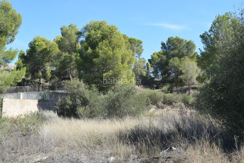 Foto 42a23e75-eddf-4781-b1ac-b03d9a72b3f0. Terreny residencial a urbanizacion teatinos a Algezares Murcia