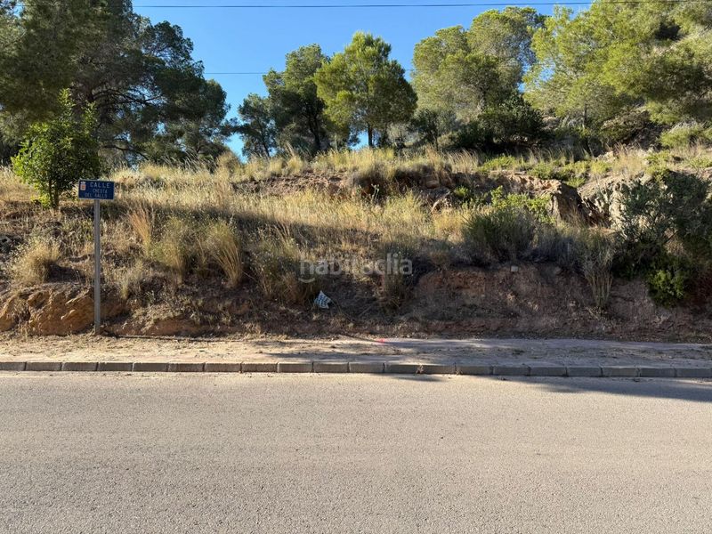 Foto a29e511d-2437-413a-b950-404da46a7d7b. Terreny residencial a urbanizacion teatinos a Algezares Murcia