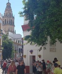 Rent House in Casco Histórico  - Ribera - San Basilio. Casa para negocio en plena juderia