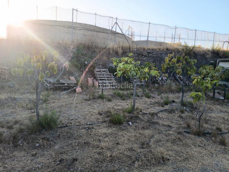 Foto 0a2c2681-5bed-4bee-a2fc-90f5a971036e. Finca rústica finca de mangos en canillas de aceituno en Almayate Bajo